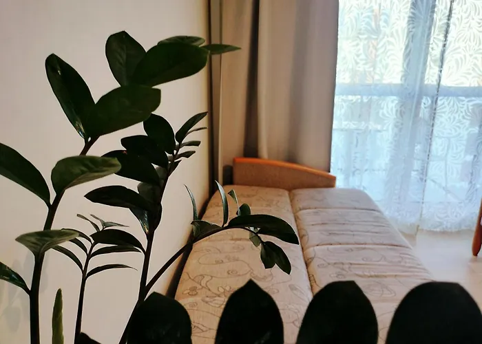 Quiet In The Wroclawska クラクフ