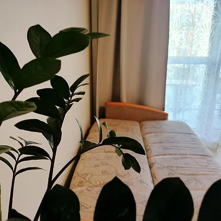 Quiet In The Wroclawska Cracóvia